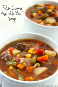 beef vegetable soup
